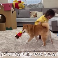 ほのちゃんとうにくん