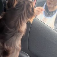 ソワソワ…