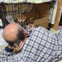 すっかりダメになってしまった！？