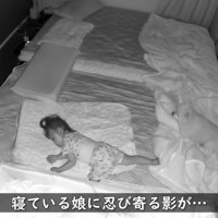 ポメくんがやってきた！！