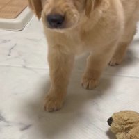 いっちょまえのムキ顔にキュン♡
