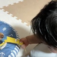 引っ張りっこ再開！！