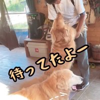 お兄ちゃん帰宅時のボスくん＆ルナちゃん8