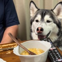 食事中もお行儀よく♪