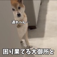 ついつい赤ちゃん返り！？