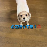 「どこに行ってた！」