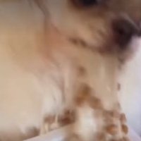 まき散らしながら床へ