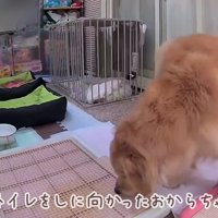 おからちゃんが隣室へ