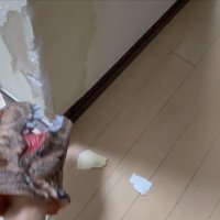 実演