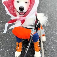 「素敵な雨の日コーデでしょ？」