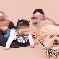主役級のポテチくん