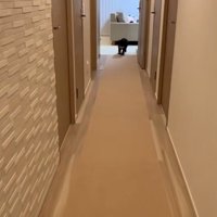 走り出すテオくん