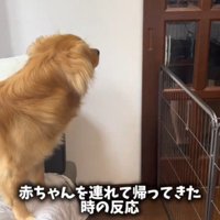 赤ちゃんを抱っこしてドアの前に立つ男性