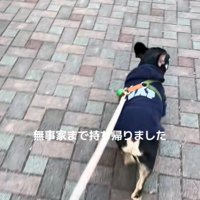 おしゃぶりを拾ったととまる君7