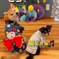 季節を取り入れるのは基本だよね♪