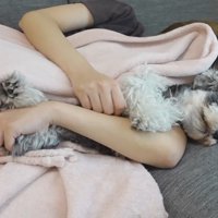一緒にお昼寝♡