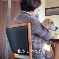 抱きしめられる犬