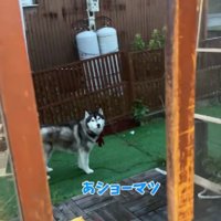雨の中をのんびり散策
