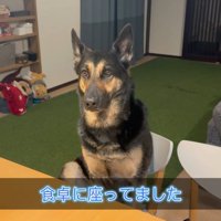 ご飯のことで頭がいっぱい！