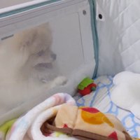ずっとあやし続けています（笑）