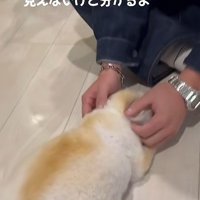 「会えてよかった」