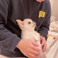 赤ちゃんみたい…♡