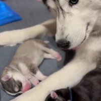 困惑の表情で見つめる母