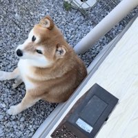 「どうにかならない？」