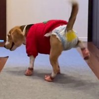 ついつい上がっちゃう♪