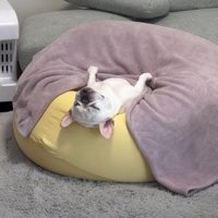 反省の色なし！？