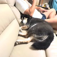 仲良くリラックス♪