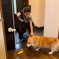 しばらくのお別れです