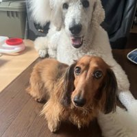 大きさは全然違うけれど仲良し♡