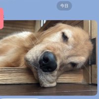 あまりにも無防備…