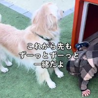 これからも仲良くね