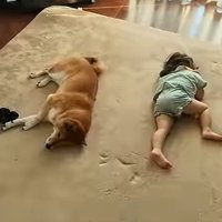 離れて眠るふたり