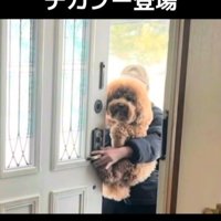 おばあちゃんの家に到着♪