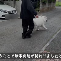「もう帰る！」