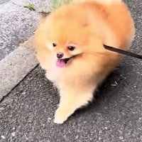 意気揚々と歩くも…