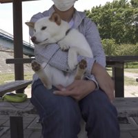 大人しく抱っこされています♡
