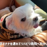 車で病院に向かいます