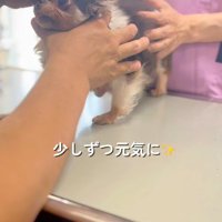 少しずつ健康を取り戻して…