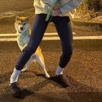 拒否するりくちゃん