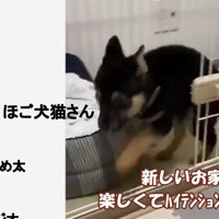 楽しそうな姿に感動