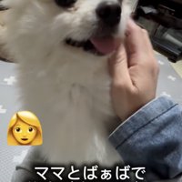 おめめクリクリ