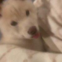 夢の中へ…！？