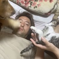 前足を振り下ろす！