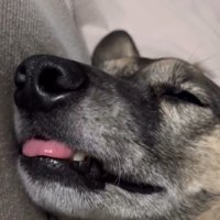 お口をくちゃくちゃ…