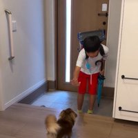 手を突き出すお兄ちゃん