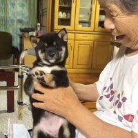 カメラ目線のあさちゃん